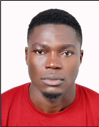 Djekornonde Le Roi Miantangar - Statistician and Data Scientist at Greenhouse Telehealth TCD